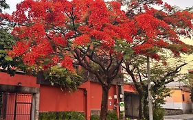 Arbol De Fuego Eco-Hotel